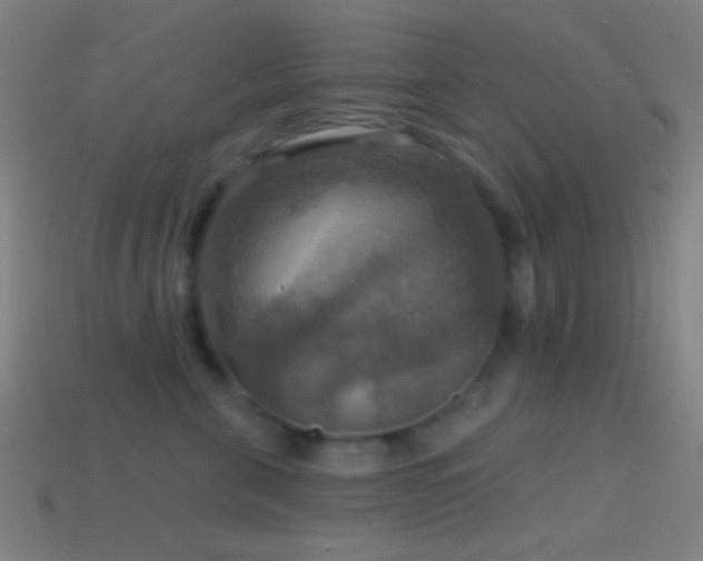 X0000114420571200910161231