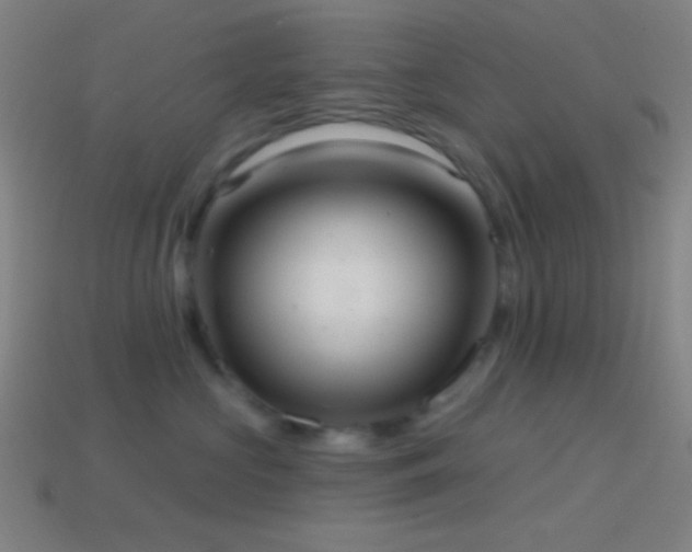 X0000114420573200910161231