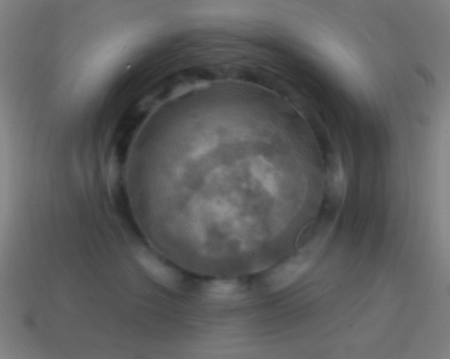 X0000114420574200910161231