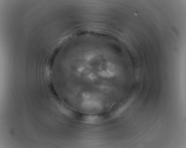 X0000114420575200910161231