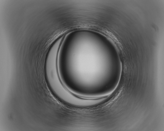 X0000114420577200910161230