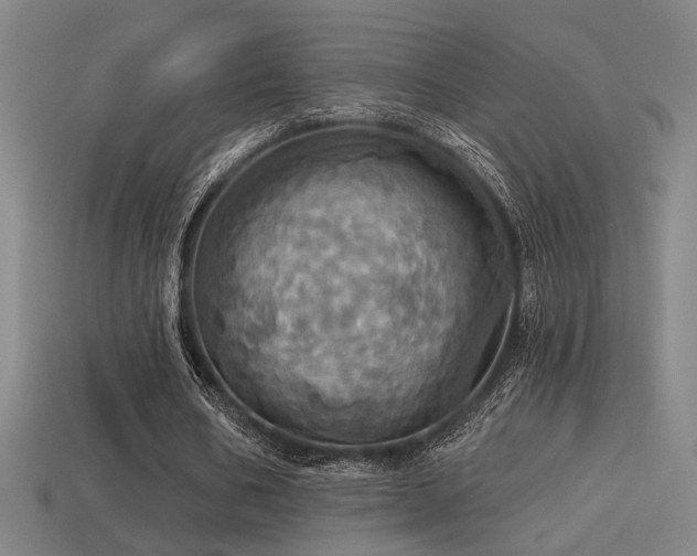 X0000114420578200910161230