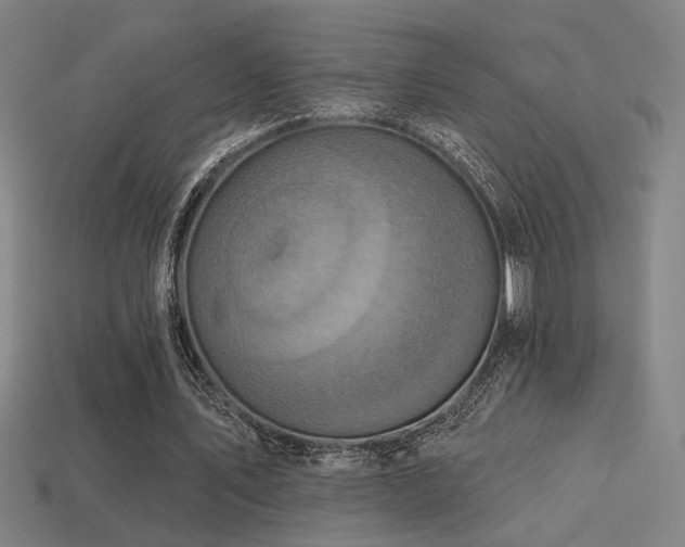X0000114420579200910161230