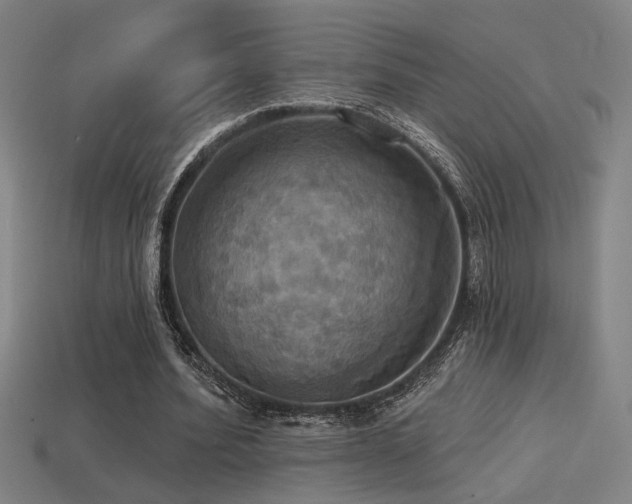 X0000114420580200910161230