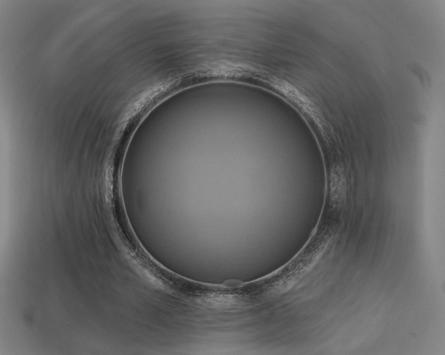 X0000114420581200910161230