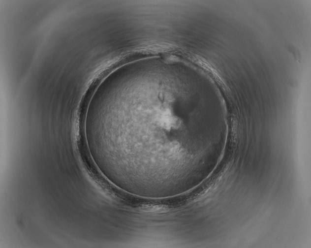 X0000114420582200910161230
