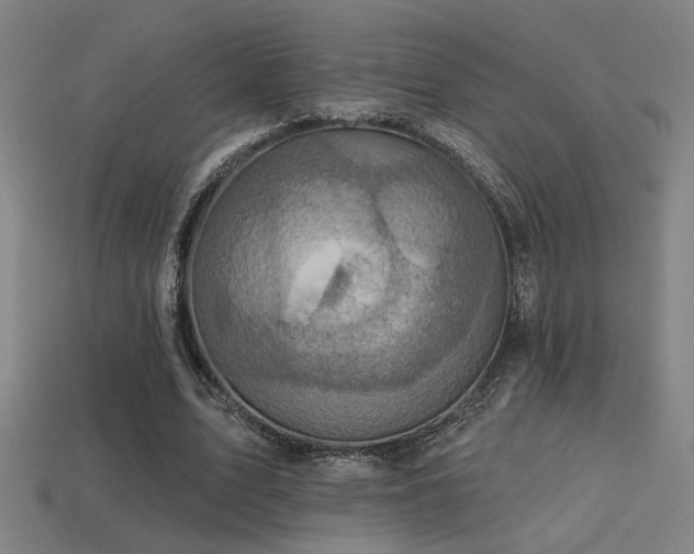 X0000114420583200910161230