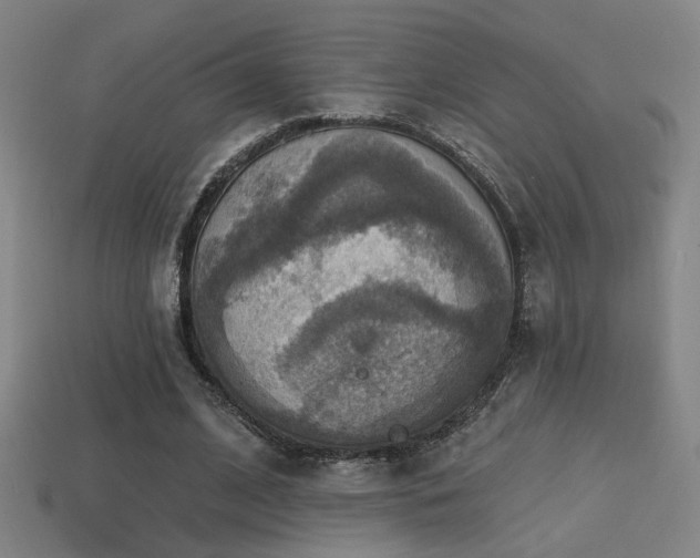 X0000114420584200910161230