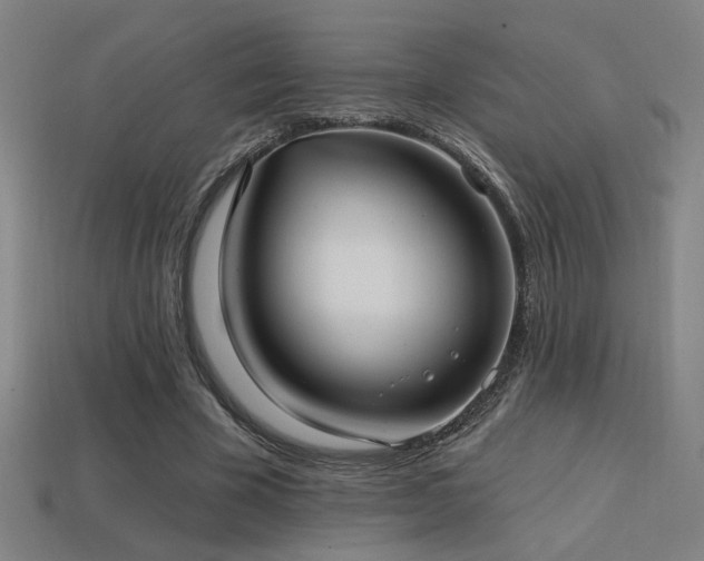 X0000114420585200910161230