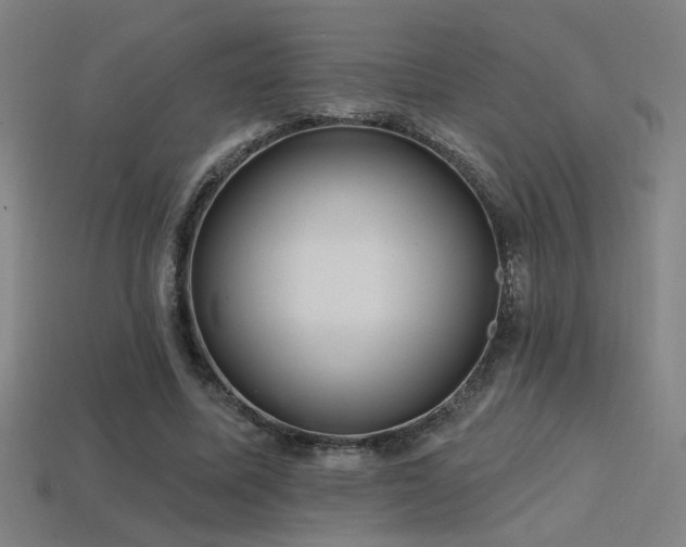 X0000114420587200910161230