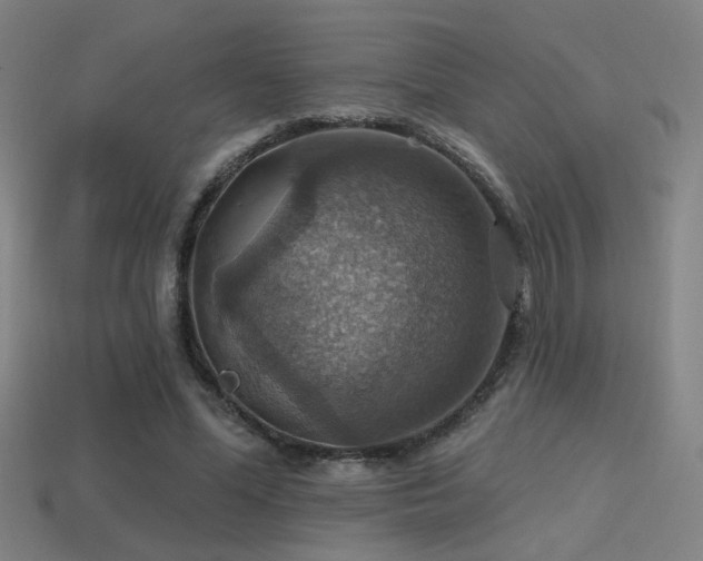 X0000114420588200910161230