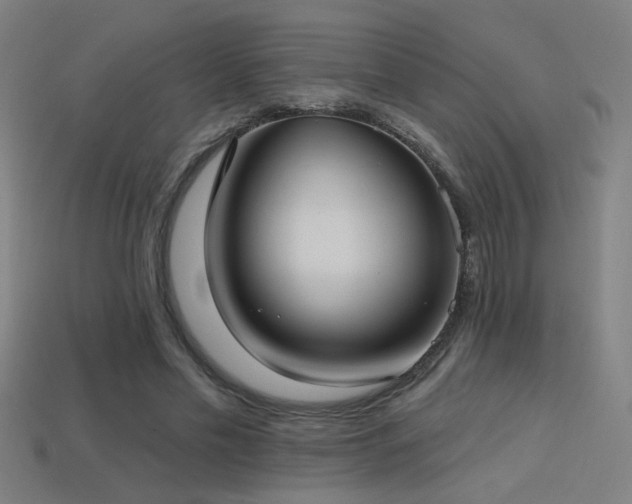 X0000114420589200910161230