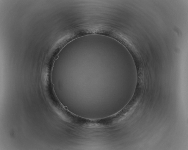 X0000114420590200910161230