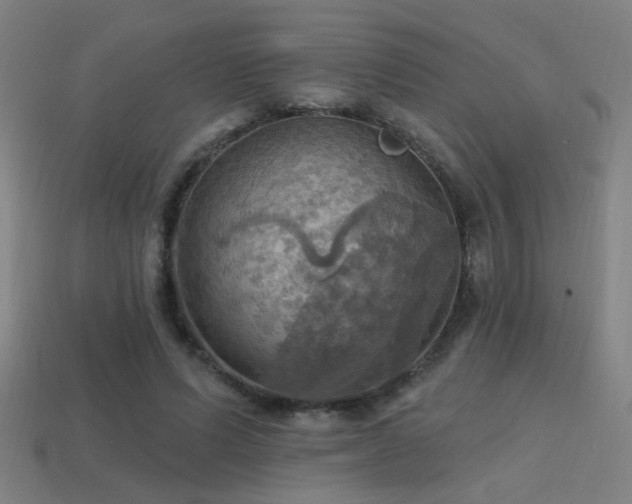 X0000114420591200910161230