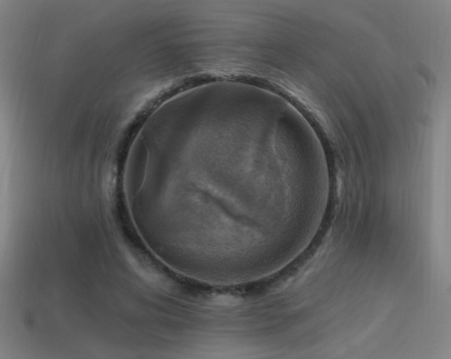 X0000114420592200910161230