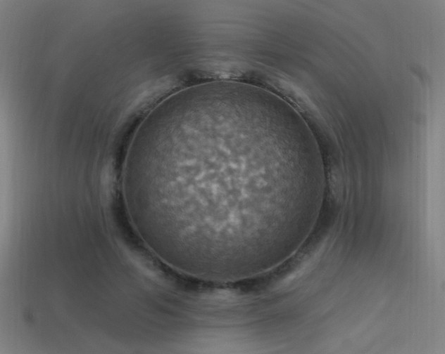 X0000114420594200910161230