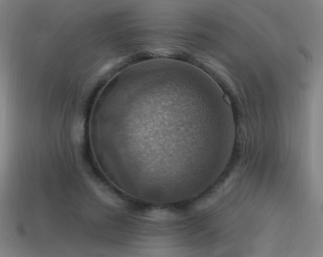 X0000114420596200910161230