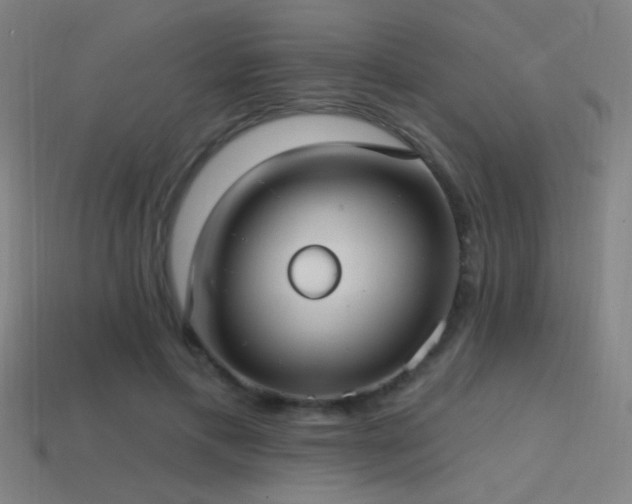 X0000114420597200910161230