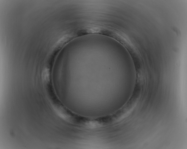 X0000114420598200910161230