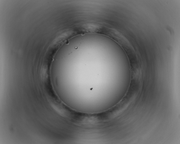 X0000114420599200910161230