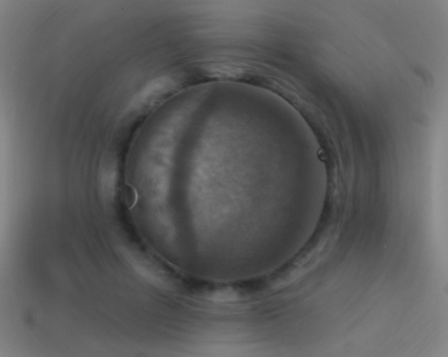X0000114420600200910161230