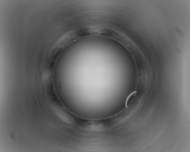 X0000114420601200910161230
