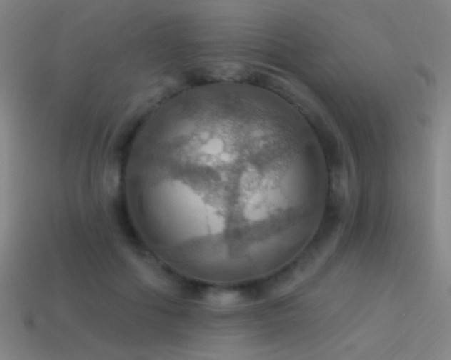 X0000114420602200910161230