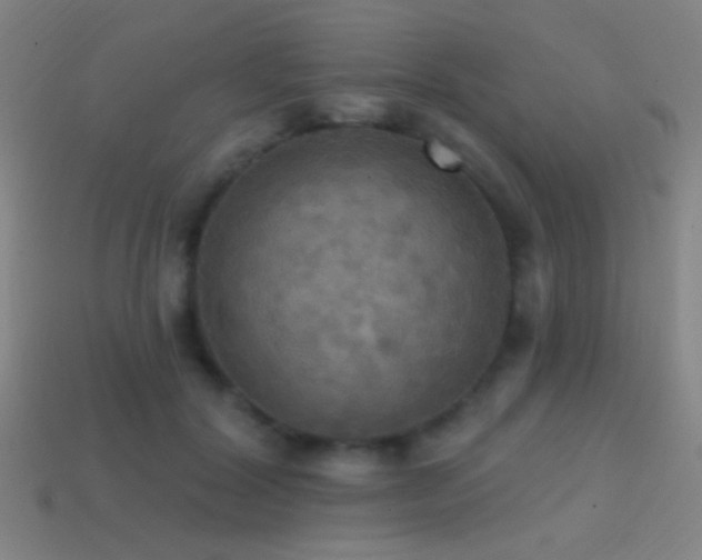 X0000114420604200910161230