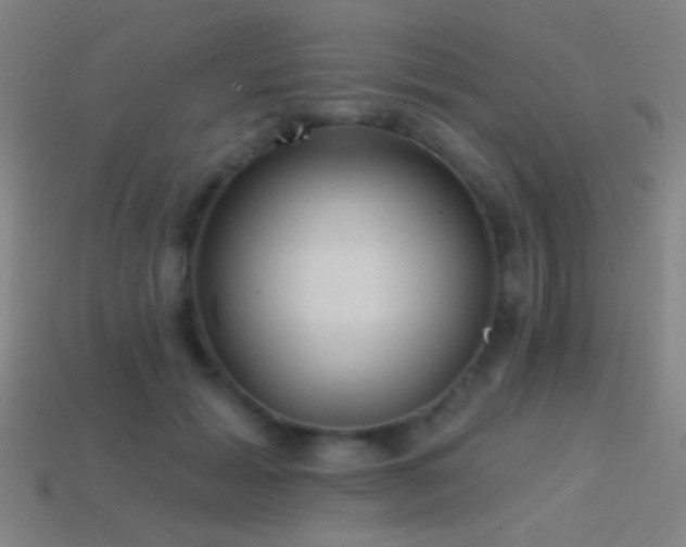 X0000114420605200910161230