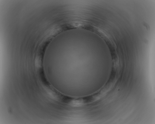 X0000114420606200910161230