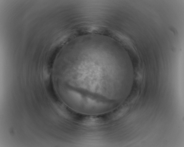 X0000114420607200910161229