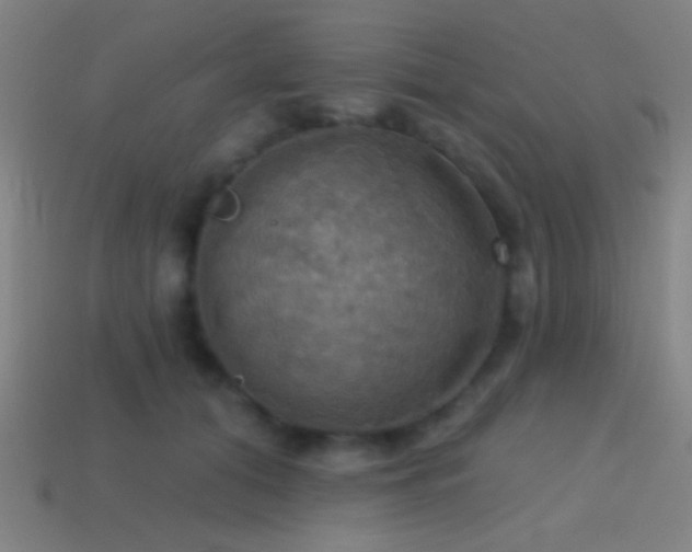 X0000114420608200910161229