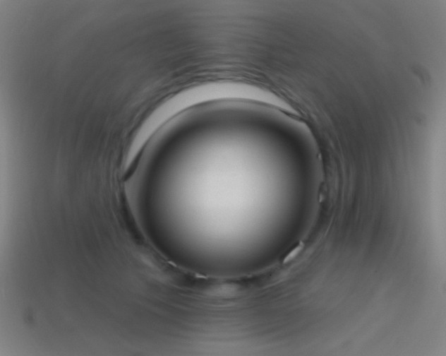 X0000114420609200910161229