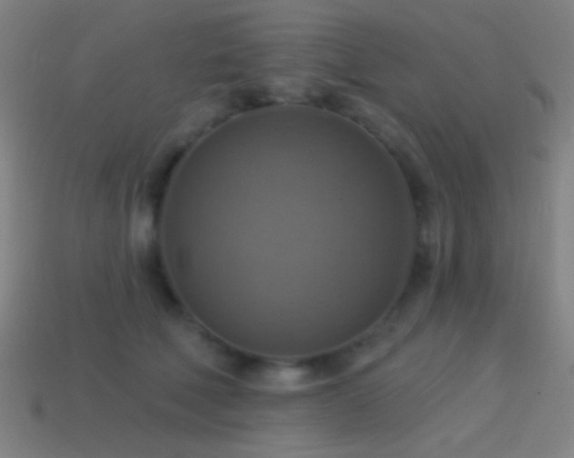 X0000114420610200910161229