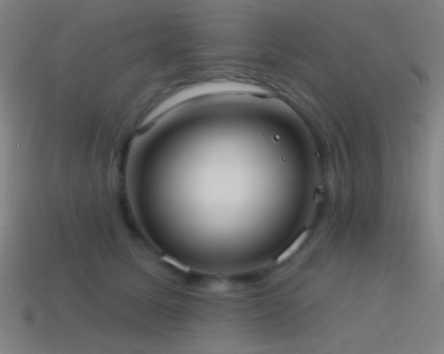 X0000114420611200910161229
