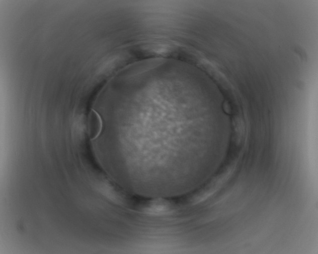 X0000114420612200910161229