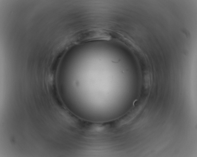 X0000114420613200910161229
