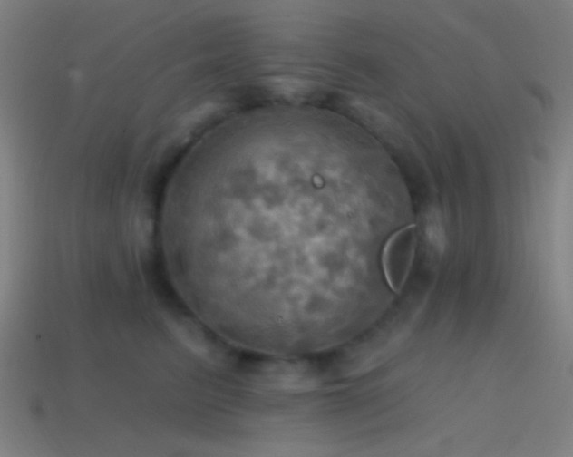 X0000114420615200910161229