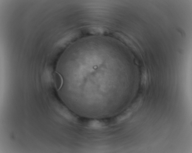 X0000114420616200910161229