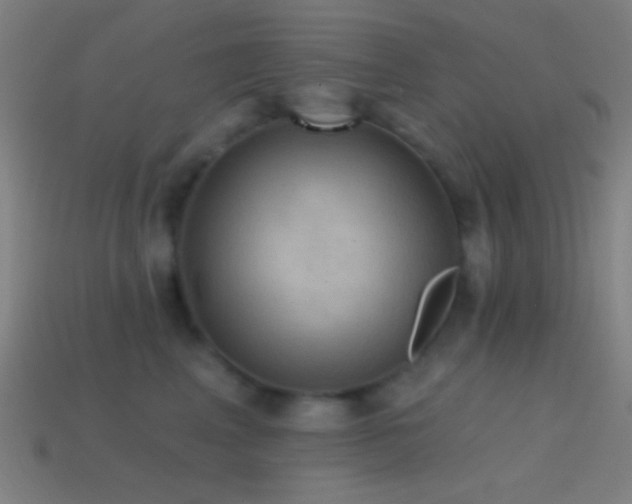 X0000114420617200910161229