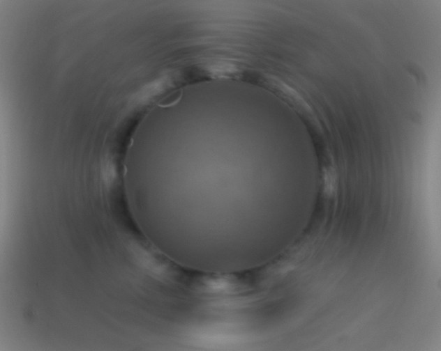 X0000114420618200910161229