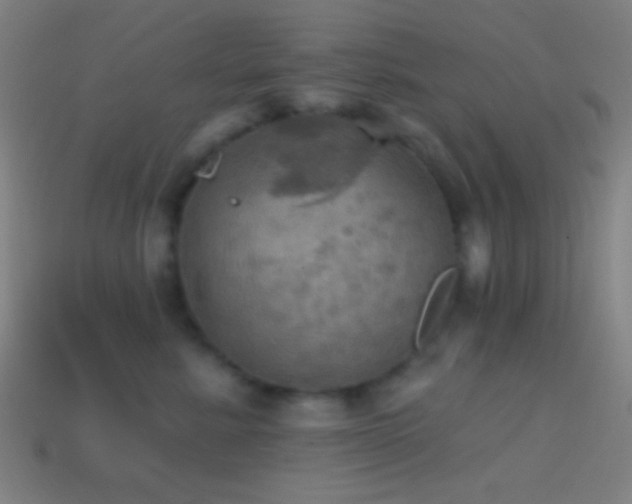 X0000114420619200910161229