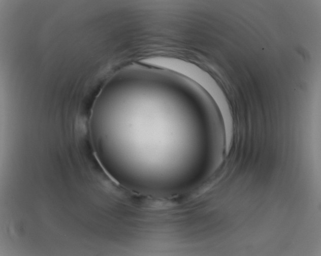 X0000114420621200910161229