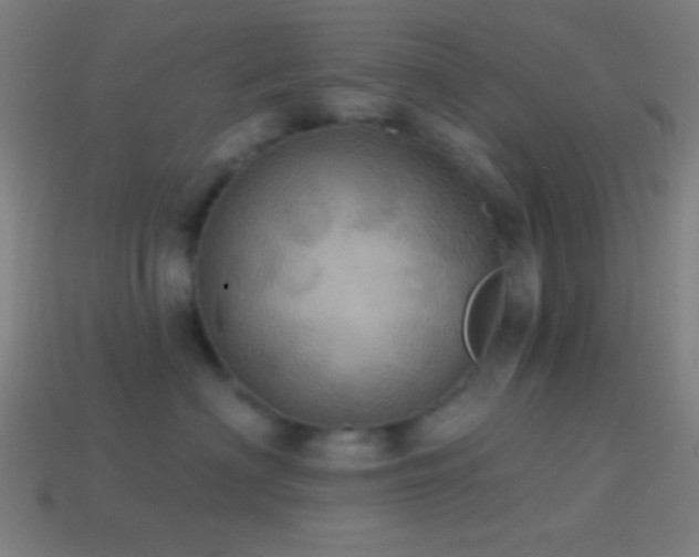X0000114420622200910161229
