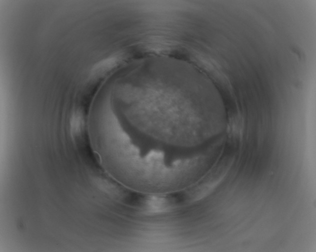 X0000114420623200910161229