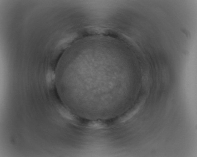 X0000114420624200910161229