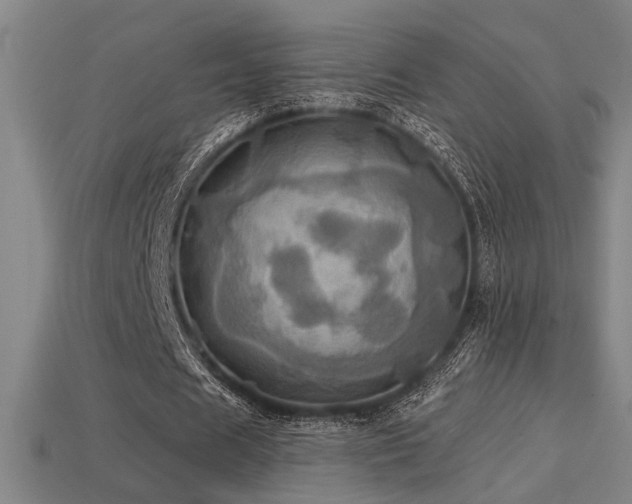 X0000114420625200910161229