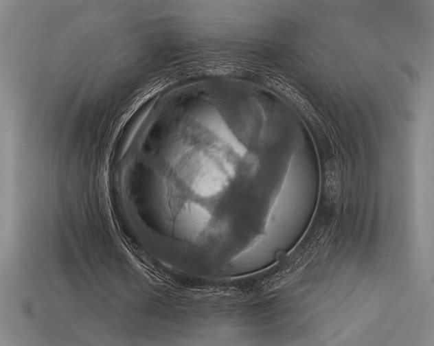 X0000114420626200910161229