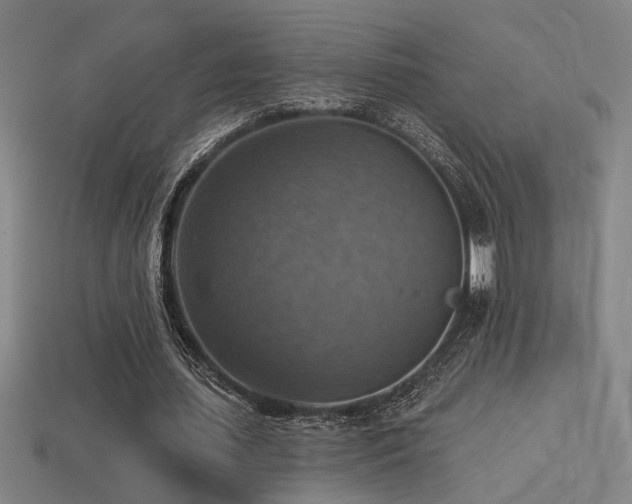 X0000114420627200910161229