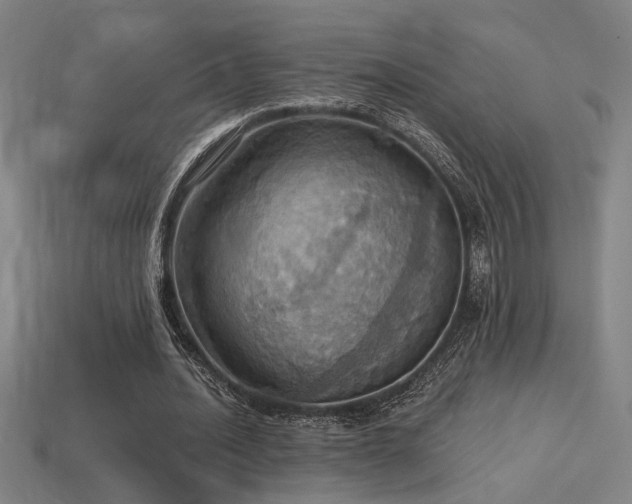 X0000114420628200910161229